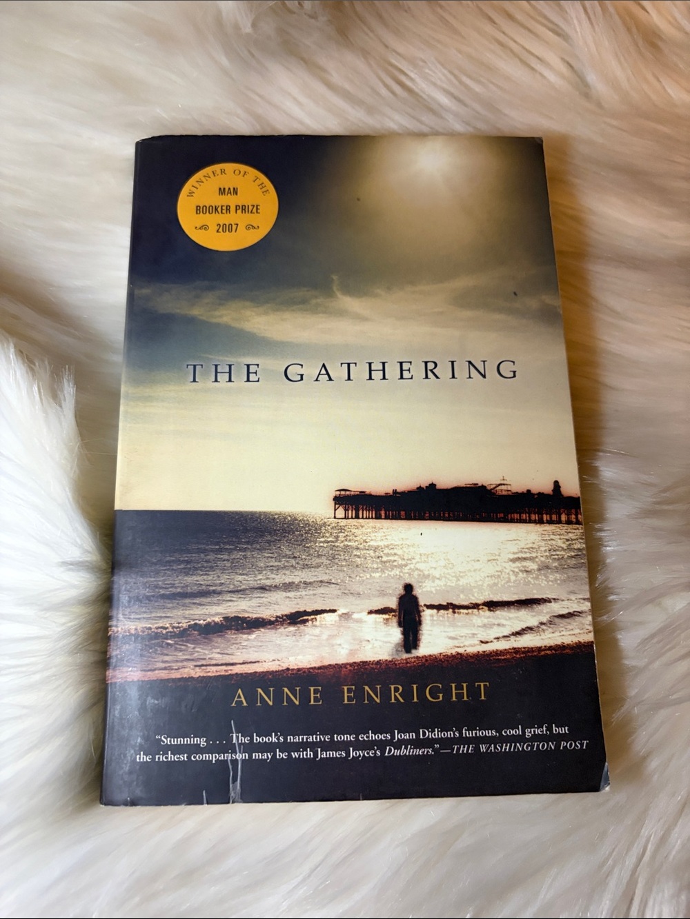 📚 3 for $15 📚 The Gathering by Anne Enright - Beige and Blue Paperback